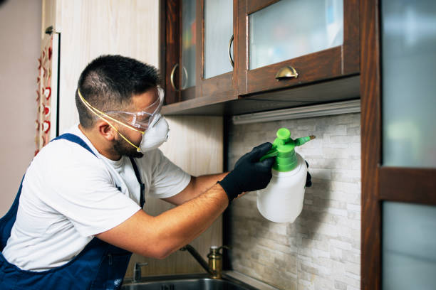 Best Emergency Pest Control  in Chaparral, NM