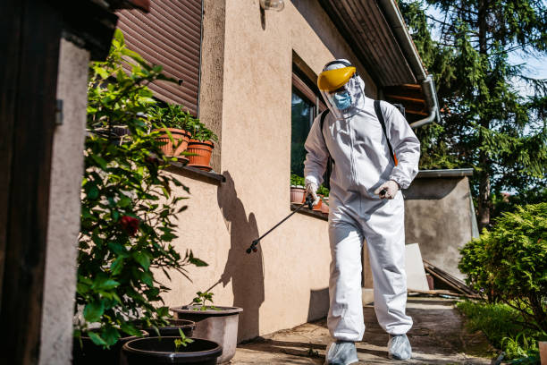 Best Emergency Pest Control  in Chaparral, NM