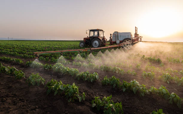 Professional Pest Control in Chaparral, NM