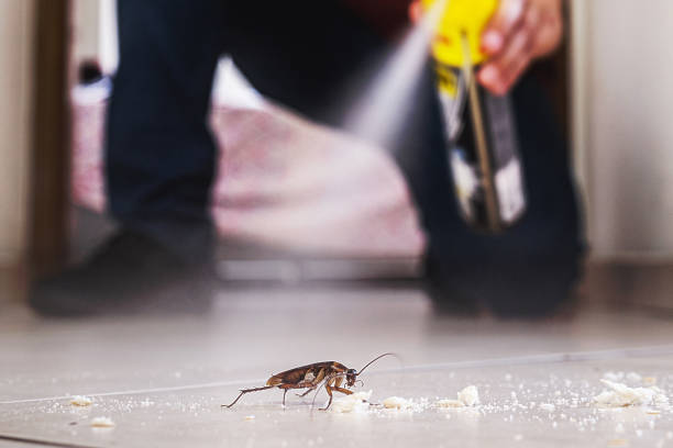 Best Pest Prevention Services  in Chaparral, NM