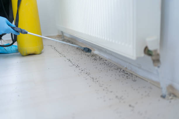 Best Pest Removal Services  in Chaparral, NM