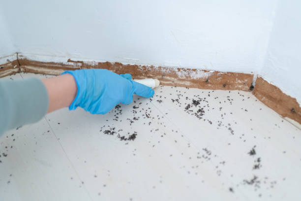 Best Commercial Pest Control Services  in Chaparral, NM