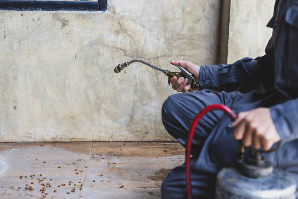 Best Affordable Pest Control Services  in Chaparral, NM